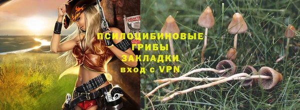 СК Богородицк