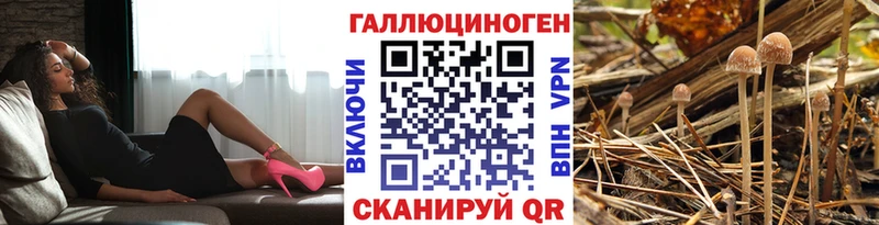 Псилоцибиновые грибы мицелий  где купить   Приволжский 